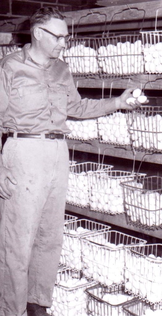 A man holding eggs in the Swanson's Hatchery