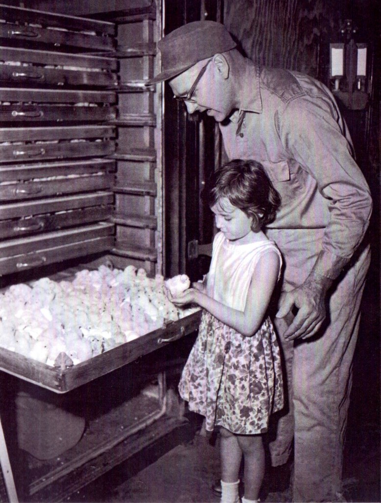 Swanson's Hatchery, Polk twp, Plymouth-Laporte Trail